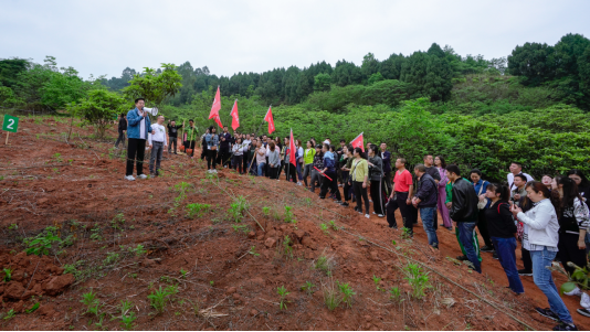 省富联娱乐集团开展龙泉山城市森林公园 “包山头”植树活动