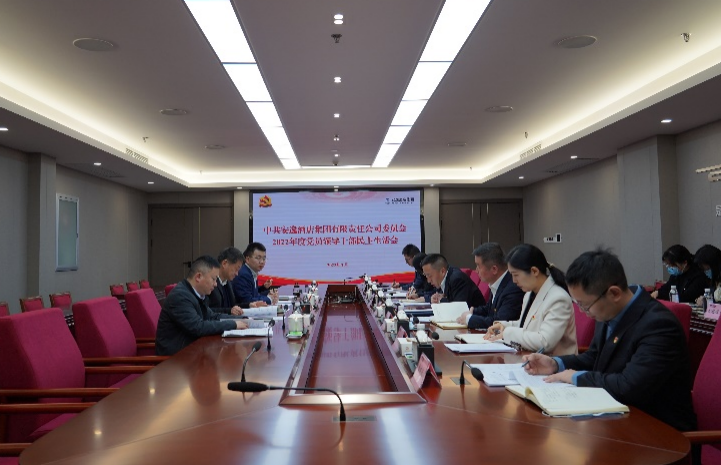 富联娱乐集团党委书记、董事长任丁出席安逸酒店集团2022年度党员领导干部民主生活会